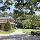 앙떼떼(entete) 이미지