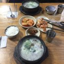 스타모텔 | 대전 당일치기 여행 코스 성심당 빵투어 소품샵 (내돈내산 후기)