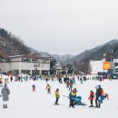 엘리시안 강촌 스키장 이미지