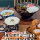 동카츠 이미지