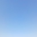 호미곶수산 | 포항 호미곶 가족여행 후기(이정민수산 대게까지)