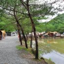 금광농원 이미지