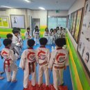 세심태권도 이미지