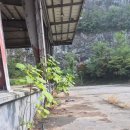 세운약품 | 안성 공장 청소업체 야적장 정리 후기