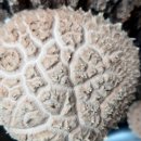 김영택농장 이미지