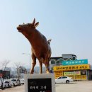 강원도 횡성군 횡성읍 읍상리 277-17 | [강원도] 당일치기 횡성 여행, 횡성 전통시장과 보훈공원 (삼일공원)