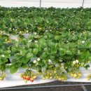 해랑농장 이미지