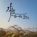 가을무릇디자인