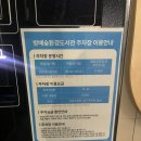 방배숲환경도서관 옥상1 | 서울 힐링 명소 서리풀공원 방배숲환경도서관