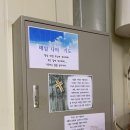참들미 이미지