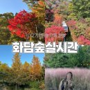 27 | 곤지암 화담숲 단풍 실시간 10/27 후기 : 취소표 예매 당일 할인 지각 입장