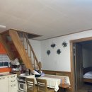 라스텔라편백숲 이미지