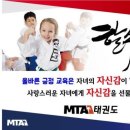 늘찬태권도 네이버블로그