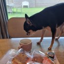 스테이 그리다 이미지