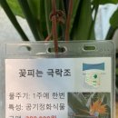 대봉동 신천통로 갤 | 대구 대봉동 식물도 보고 커피도 마시는 대구식물카페 파노라마포레스트180