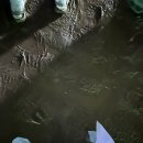 2024 부산국제록페스티벌 일요일
