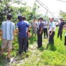 김용찬농장 이미지