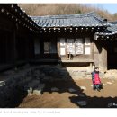 취화선 Daum카페