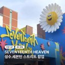 [성수 팝업] 세븐틴 스트리트 in 성수 방문 후기 | 웨이팅, SNS 이벤트, 협업 매장