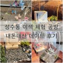 아키리움