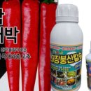 한국농약씨앗 이미지