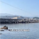 가계샤워장 | [삼척여행] 장호항 스노클링 명당과 주차 꿀팁, 아빠의 지갑을 지키는 찐 후기 (삼척 가볼만한곳)