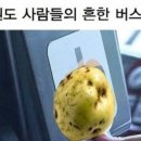 구봉농원 이미지