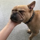 딩딩이발소 이미지