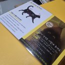 히히냥냥 | 강남 고양이 카페 히히냥냥 – 강남역 놀거리&amp;데이트 추천!