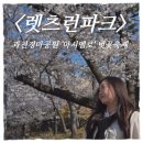 (주)게임파크홀딩스 | 주말 벚꽃 데이트 추천 | 렛츠런파크 서울 (과천경마공원) 벚꽃축제 '마시멜로'후기(피크닉·먹거리...