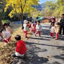 2023.10.25 안동유치원 5세(열매반)-개구리샘 이미지