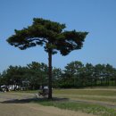 용촌농장 이미지