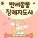 횡성 장례문화 센터 | 반려견장례지도사 자격증 미래 전망 및 취득 후기