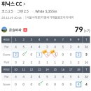 오송골프존CC(스크린) | 골프존 스크린 후기-휘닉스cc