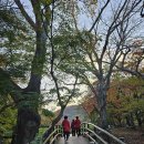 (주)성보건장 | 고창 선운사(전북 고창군)