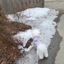 내린천아름펜션 | [23양양_4] 양양 여행의 끝, 인제 내린천 아름펜션