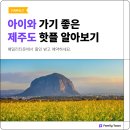 패밀리타운 이미지