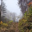 직2리마을회관 | 가평 뾰루봉식당-뾰루봉-절고개-화야산-고동산-삼회2리마을회관 산행기록