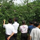 대학농장 이미지