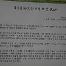 박대립선생묘 및 신도비 이미지