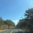 라나한타이월정 | [제주] 7일차 / 오저여 일출 일몰, 한라산 영실코스 윗세오름, 태국음식점 라나한타이 월정