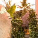 몰디브호텔 이미지