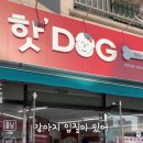 핫!Dog 이미지