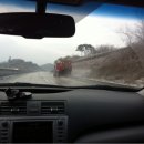 몽산포펜션 하얀집 이미지