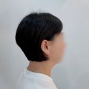 모드니헤어라인