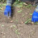 삼태농장 이미지