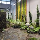 진틀주차장 | 거제 식물원 무료관람 진틀리움 가격 입장시간 유자막걸리 동동주 후기