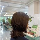 화정 미용실의 마음 깊은 케어, 오뉴헤어 화정역점에서 만들다.