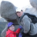 늑대와 여우 이미지