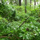 당구장 가는길 이미지